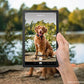 Tablet Lenovo Tab M9  Tableta, 4RAM y  64 GB, Android 12 con Funda Incluida